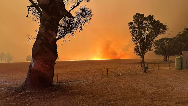 Dadswells Bridge CFA 
Little Desert National Park fire: Victoria bushifres. 29.01.25