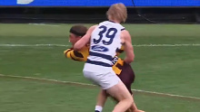 Hawks player Jack Ginnivan was not awarded a number of potential free kicks.