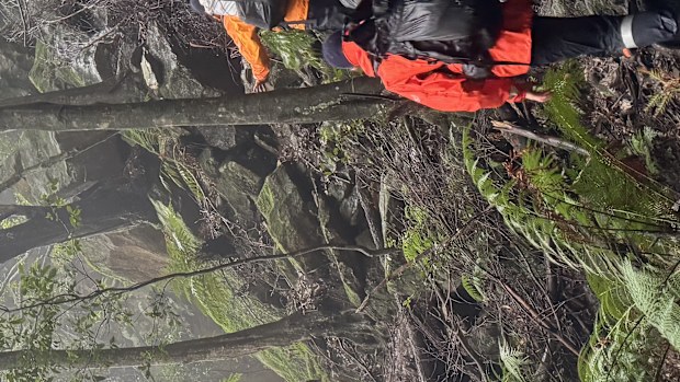 Blue Mountains: Missing bushwalker rescued after near 24-hour search in ...