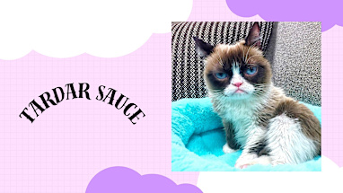 Tardar Sauce, AKA Grumpy Cat