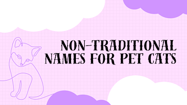 Cat name ideas: Non-traditional names for pet cats, from Meredith Grey to  Pot Roast | Nine.com.au