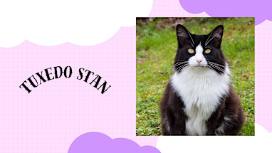 Tuxedo Stan