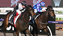 <p>It's regarded as one of Australia's best races and this year's edition of the $5 million Cox Plate will be no different.</p><p>Featuring some of the best middle-distance runners from here and abroad, the race that the mighty mare Winx won on four-straight occasions is expected to live up to the hype once again in 2024.</p><p>Pride Of Jenni's unusual tactics, Mr Brightside's undeniable popularity and the unknown of Japanese runner Prognosis will have racing fans on the edge of their seat at Moonee Valley and across the country in the 2040m Group 1 event.</p><p>Wide World Of Sports takes a look at every runner in this year's Cox Plate. ﻿</p>