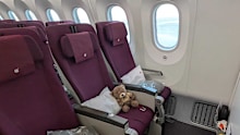 qatar airways economy class bulkhead seat