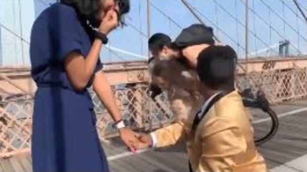 Proposal on famous bridge gets literally 'crashed' by public