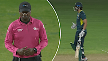 Tim David questions the umpire's decision