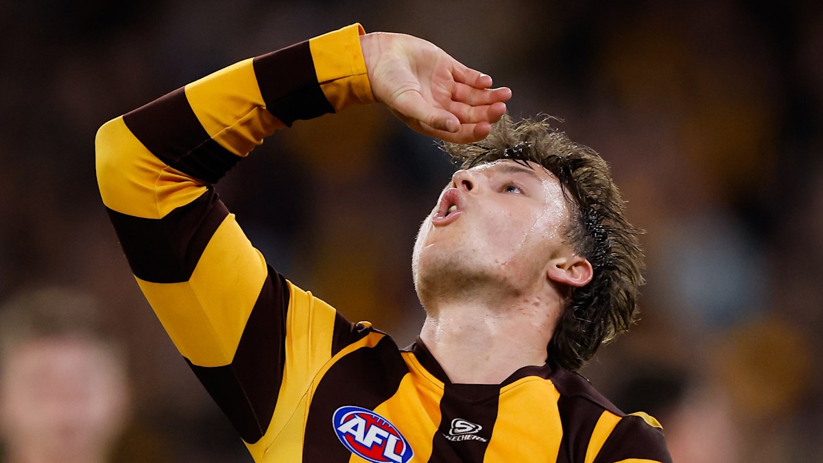 AFL Finals Week 1 2024 LIVE scores: Western Bulldogs vs Hawthorn ...
