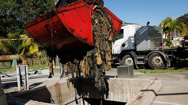 Fatberg chokes can turn into