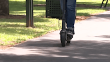 There are 8000 e-scooters on the Gold Coast.