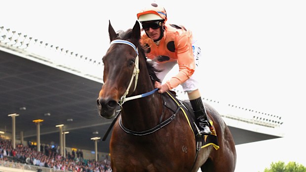 Jockey Luke Nolen riding Black Caviar wins Race 4 the Schweppes Stakes during Cox Plate Day at Moonee Valley Racecourse on October 22, 2011 in Melbourne, Australia  (Photo by Mark 
