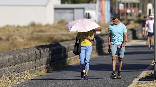 People enjoying a warm sunny morning at the Albert Park beach on an extreme hot day in Melbourne. 7 January 2026. Photo: Eddie Jim.