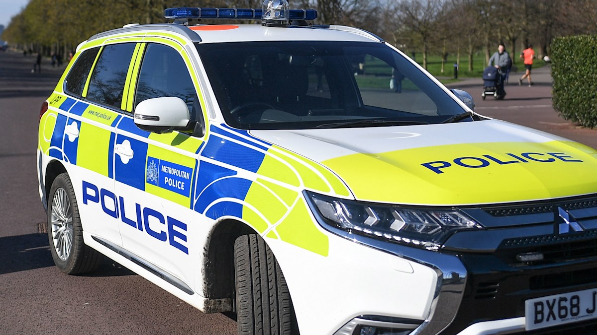 Dog attack: Woman dies after being attacked by her XL Bully in London ...