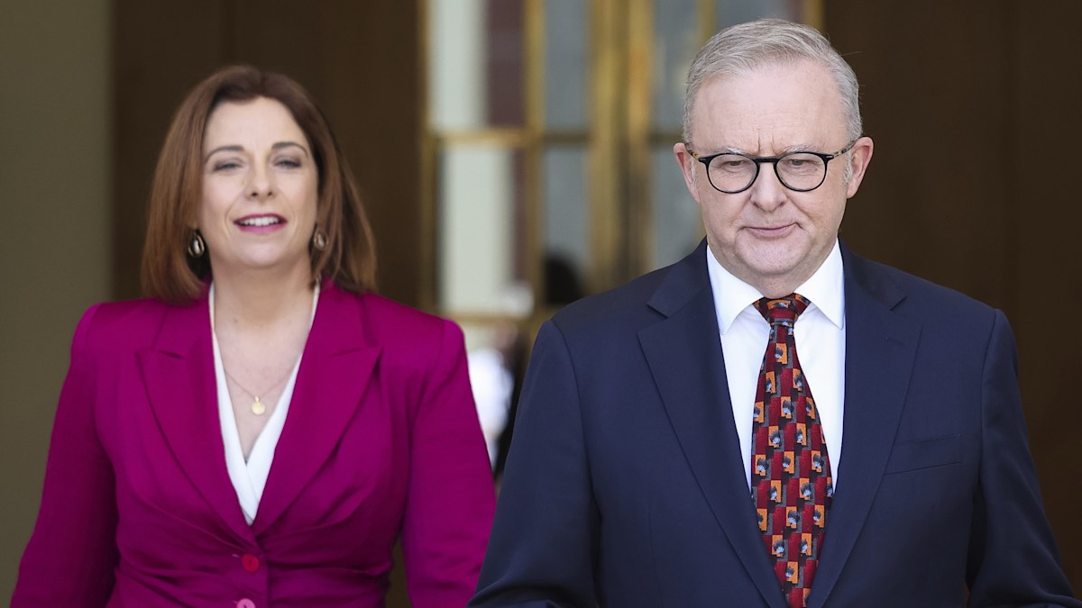 Social media ban: NSW MP John Ruddick to launch high court challenge ...