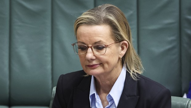  Liberal frontbencher James Paterson told ABC Radio he believed Ley still had the backing of her colleagues.