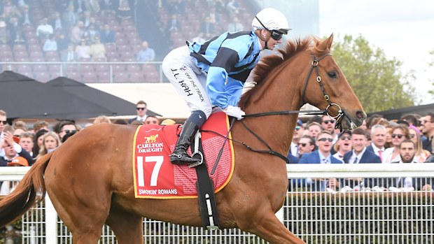 Smokin' Romans (NZ) on the way to the barriers prior to the running of the Carlton Draught Caulfield Cup at Caulfield Racecourse on October 15, 2022 in Caulfield, Australia. (Photo by Brett Holburt/Racing Photos)