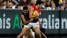 Petracca says he isn't fazed with the possibility of being tagged.