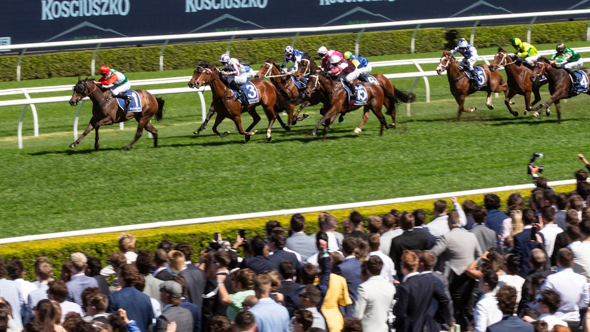 Horse racing, Racing NSW, new $2 million race, the big dance, Melbourne ...