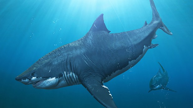 Megaladon