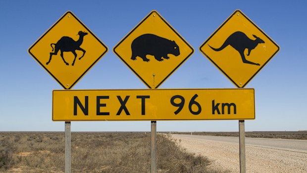 Driving in Australia 