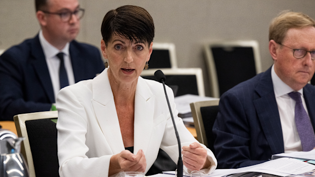 NSW Minister for Communities and Families Kate Washington said the situation uncovered by the radio station was "shocking".