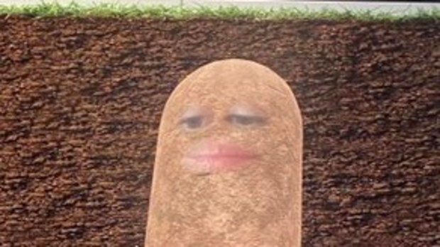 Woman turned herself into a potato during video conference call.