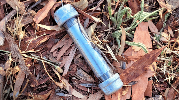 It is not known if any have been seen in other parts of Canberra.