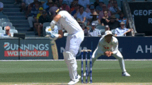 Joe Root looper