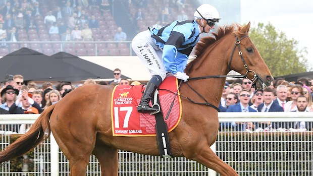 Smokin' Romans (Nueva Zelanda) en el camino hacia las barreras antes de la carrera de la Copa Carlton Draft Caulfield en el hipódromo de Caulfield el 15 de octubre de 2022 en Caulfield, Australia. (Foto de Brett Holburt/Racing Photos)