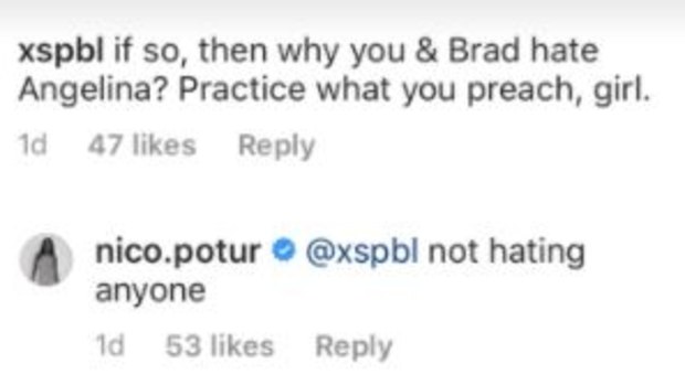 Brad Pitt, girlfriend, Nicole Poturalski, Instagram post, haters, replies to fan