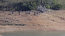 A police search team work on the shore of the Arade dam near Silves, Portugal, Wednesday May 24, 2023.  