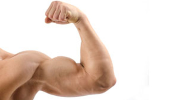 A study into bicep strength is seeking volunteers.