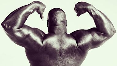 Vince Wilfork