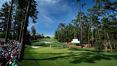 Tenth hole - Camellia