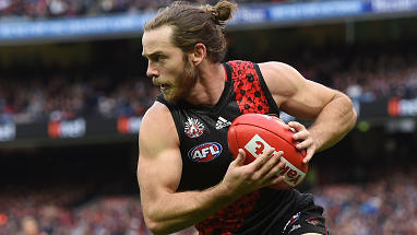Travis Colyer (Essendon)