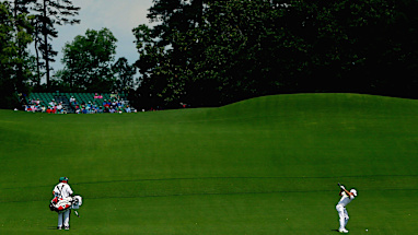 Eighth hole - Yellow Jasmine