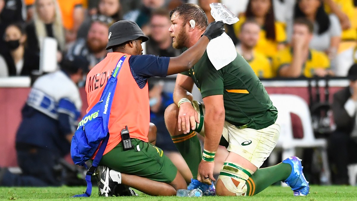South Africa rugby news Springboks coach apologises for Wallabies loss ...