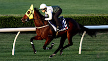 Ka Ying Rising in full flight: The star gelding puts in a strong trackwork session as preparations for the TAB Everest continue.