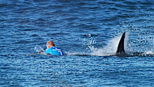 In this screen grab from footage by the World Surf League, Mick Fanning of Australia is attacked by a Shark at the Jbay Open on July 19, 2015 in Jeffreys Bay, South Africa. (Photo by WSL/World Surf League via Getty Images)