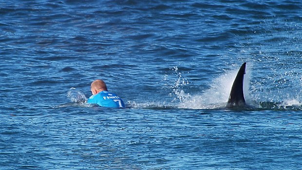 Mick Fanning, 2015 J-Bay Açık'ta bir köpek balığı tarafından saldırıya uğradı.
