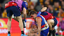 Liberatore was concussed in the last term against Hawthorn.