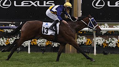 $40 outsider takes out finale