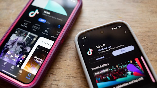TikTok just got another lifeline from the White House, with President Donald Trump set to delay enforcement of the sale-or-ban law by another 90 days.