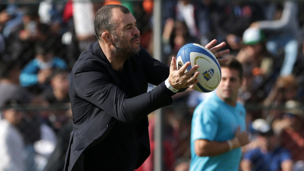 Argentina coach Michael Cheika before a Test against Scotland.