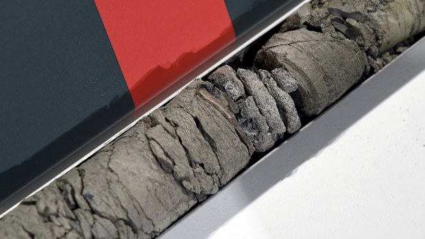 Part of a fossilized vertebrae from a herbivorous dinosaur found deep under the parking lot of the Denver Museum of Nature & Science is displayed at the museum on July 9, 2025.