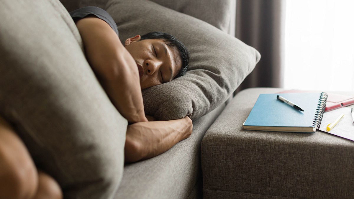 Benefits of napping: These people have mastered the art of napping at ...
