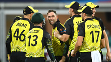 BRISBANE, AUSTRALIA - OCTOBER 31: Glenn Maxwell of Australia celebrates with team mates after dismissing Paul Stirling of Ireland  during the ICC Men's T20 World Cup match between Australia and Ireland at The Gabba on October 31, 2022 in Brisbane, Australia. (Photo by Albert Perez/Getty Images)
