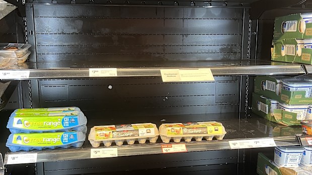 Egg shortage