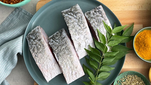 Burramundi 