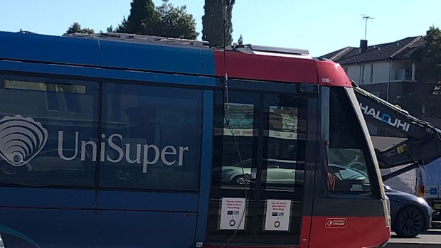 A fallen overhead tram wire has sparked major delays and disruptions in Sydney, with all light rail services affected.