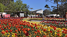 Floriade in full bloom.